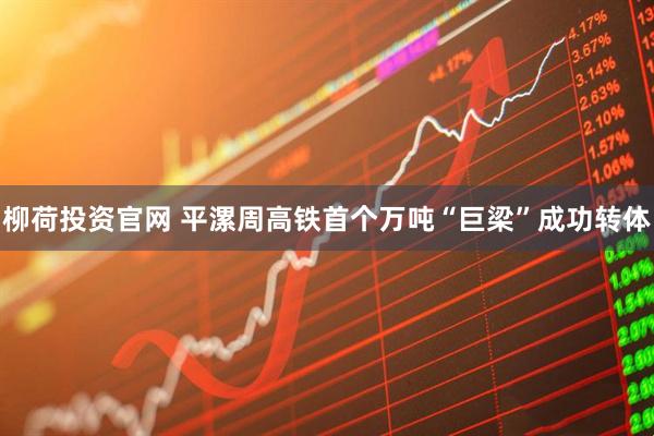 柳荷投资官网 平漯周高铁首个万吨“巨梁”成功转体