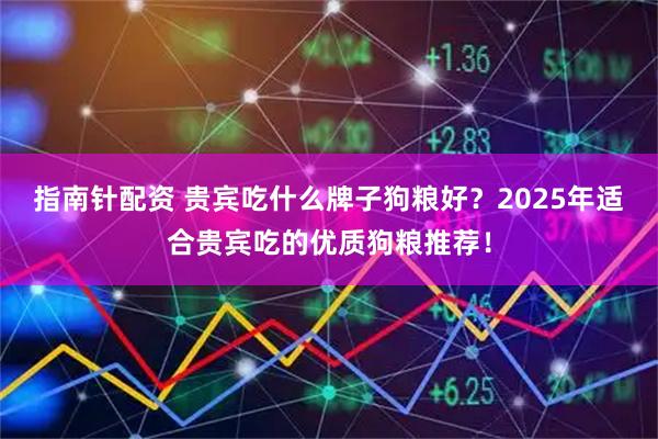 指南针配资 贵宾吃什么牌子狗粮好？2025年适合贵宾吃的优质狗粮推荐！
