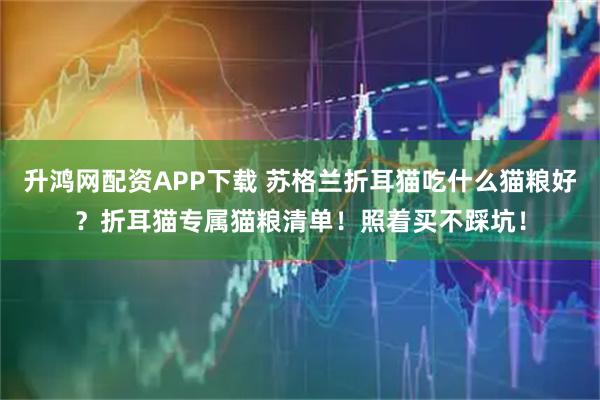 升鸿网配资APP下载 苏格兰折耳猫吃什么猫粮好？折耳猫专属猫粮清单！照着买不踩坑！