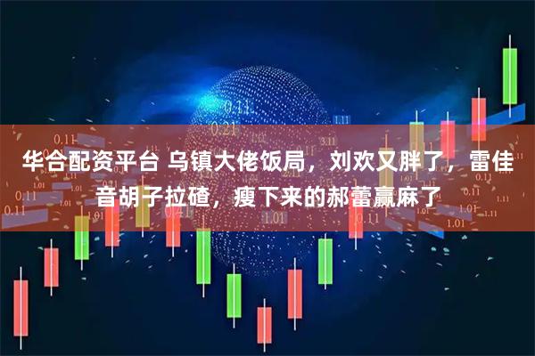 华合配资平台 乌镇大佬饭局，刘欢又胖了，雷佳音胡子拉碴，瘦下来的郝蕾赢麻了