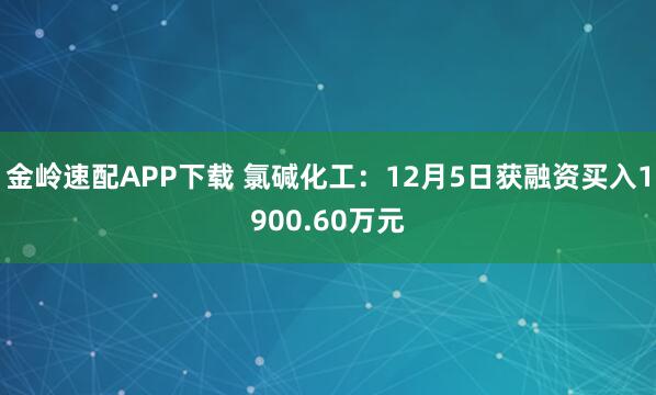 金岭速配APP下载 氯碱化工：12月5日获融资买入1900.60万元